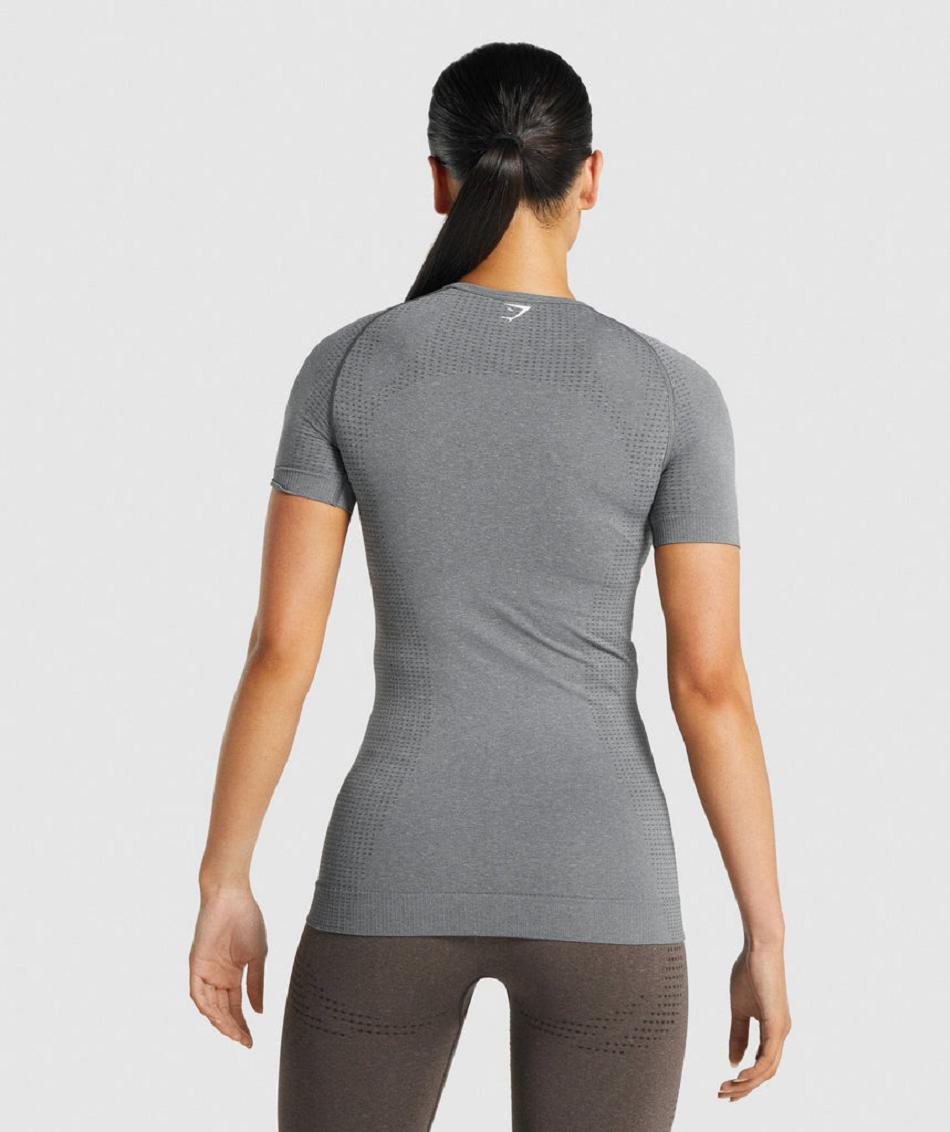 Gymshark Vital Seamless 2.0 Ženske T Shirts Sive | HR 3269KOR